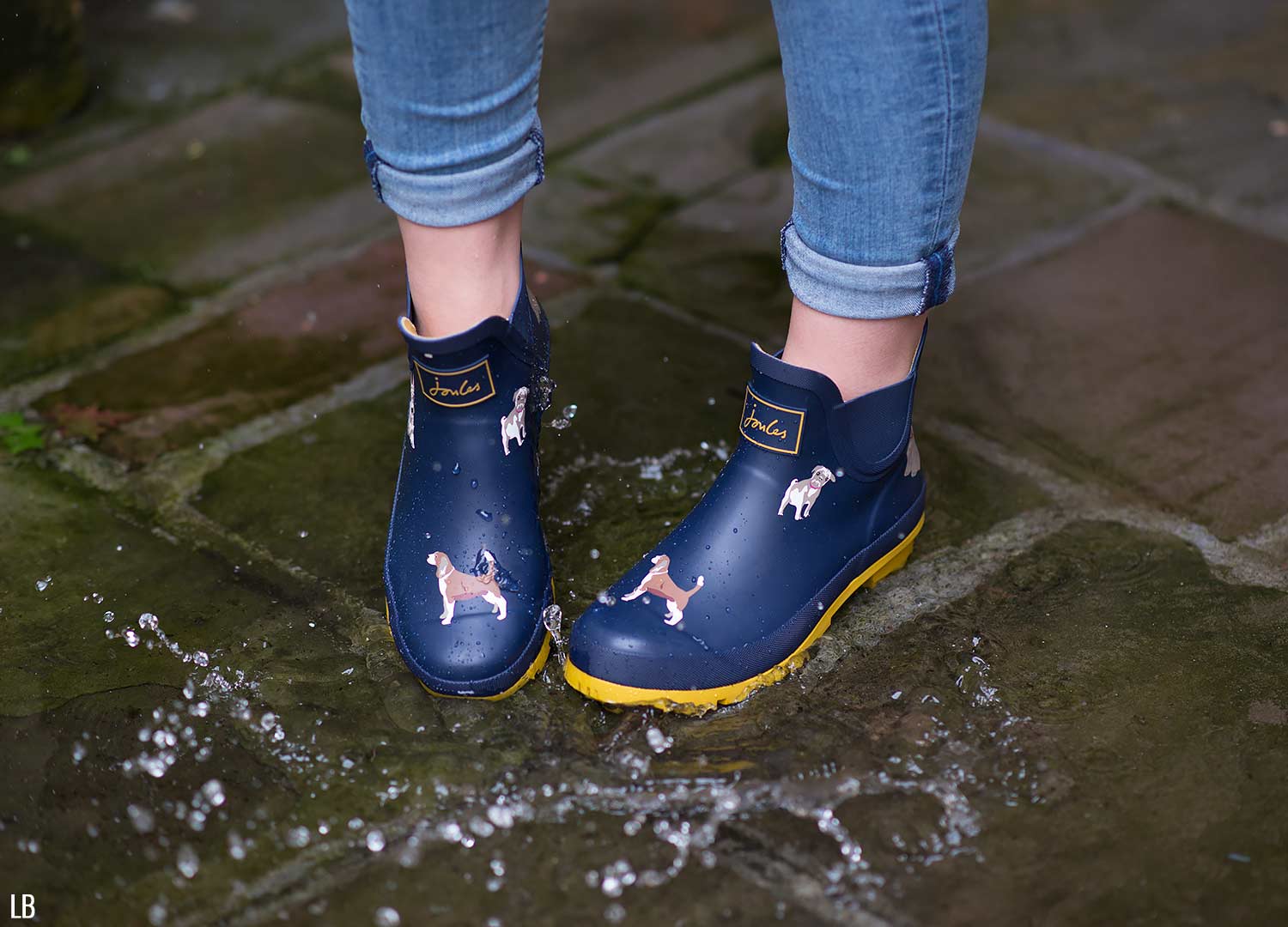 Joules Wellibob Ankle Rain Boots in Dog 