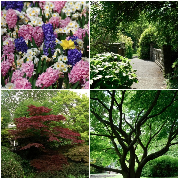 botanical-gardens-flowers