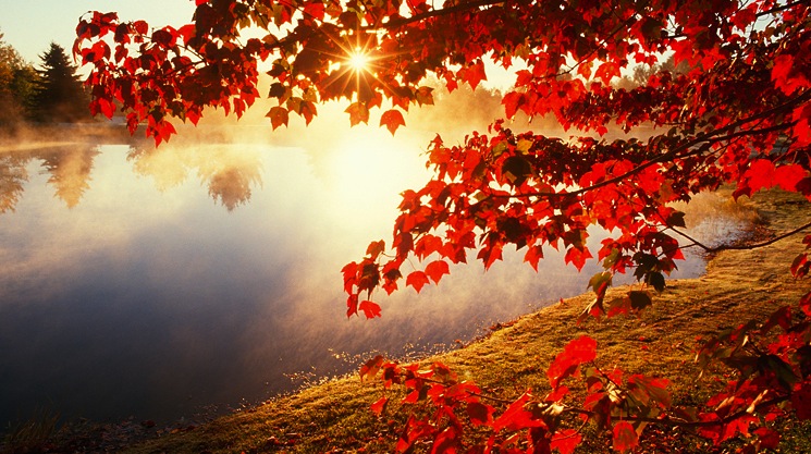 autumn-fall-photo