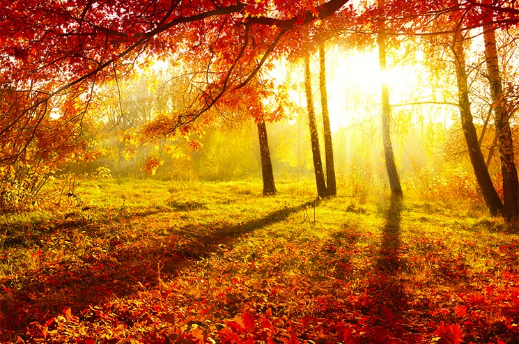 autumn-fall