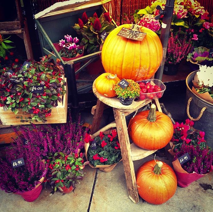 autumn-pumpkins-flowers-bath