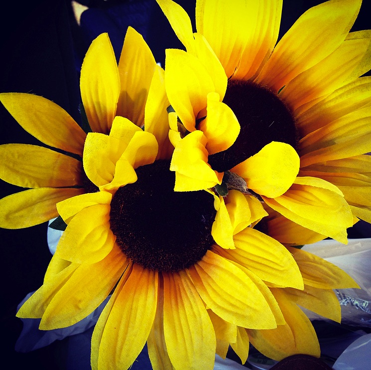 instagram-flowers.jpg