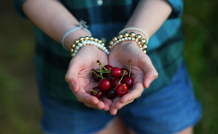 handful-of-cherries