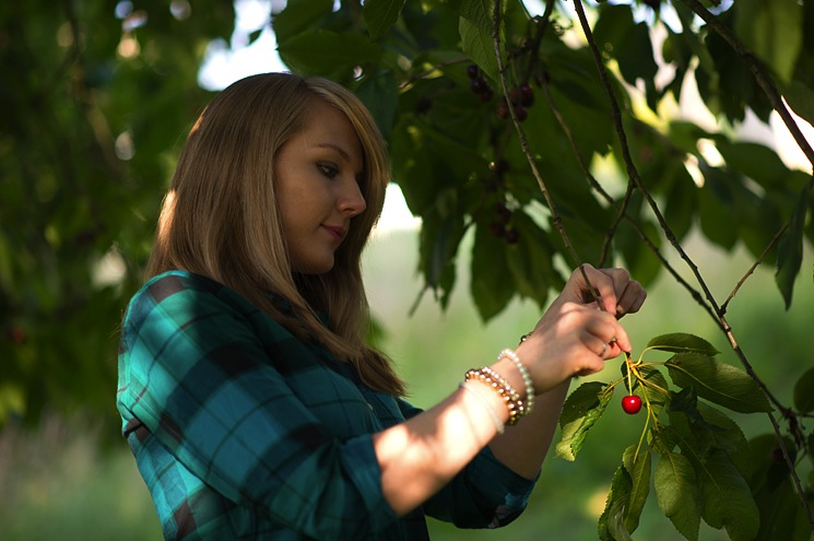 picking-cherries