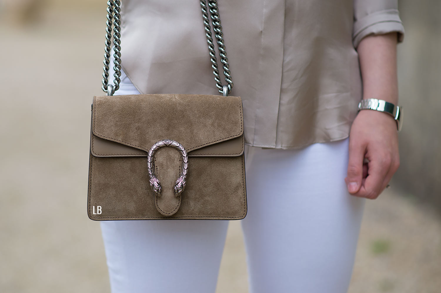 GUCCI Dionysus Mini Chain Bag in Taupe - More Than You Can Imagine